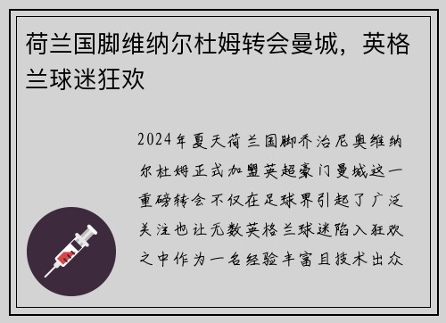 荷兰国脚维纳尔杜姆转会曼城，英格兰球迷狂欢
